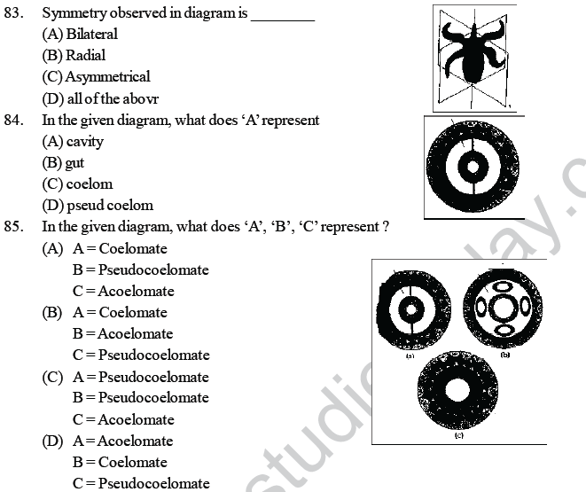 NEET UG Biology Animal Kingdom MCQs, Multiple Choice Questions